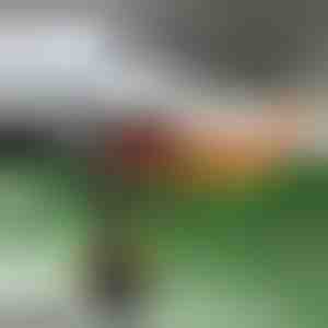 Automašīnas sildītājs un vējstikla atkausētājs | TURBOCUP