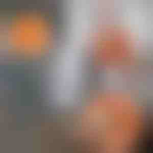 360 grādos rotējošs, regulējams tīrīšanas mops | CORALMOP