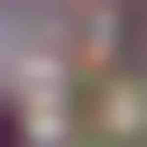 5 slāņu saliekamie uzglabāšanas plaukti | FOLDWAY