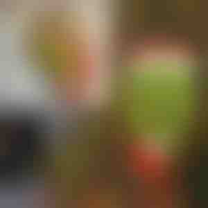 Ziemassvētku rotājumi | ELFLEGS