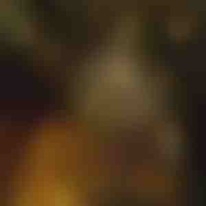 Zvaigžņu formas pasaku virtenes gaismas (6 m) | STARYGLOW