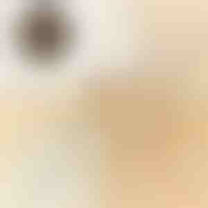 Automātiskā ripojošā bumba mājdzīvniekiem | BALLY 1+1 BEZ MAKSAS