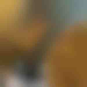 Zaru gaismiņas | BRANCHLUMOS