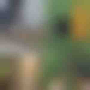 Portatīvais zāģis ar rokturiem | TREKSAW