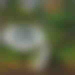 Āra saules grīdas gaismas (3 gab.) | LUMIGARD