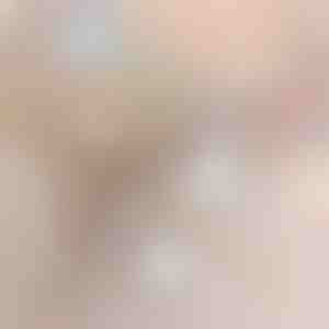 2in1 bezvadu putekļsūcējs | VACUSTICK