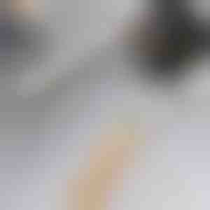 Drošs spalvu un pūku tīrītājs | LINTY