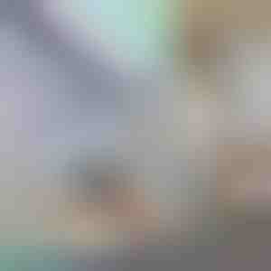 Dekoratīva privātuma logu plēve | PRISMWRAP