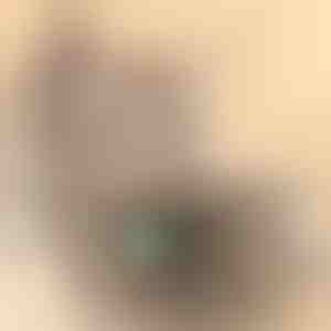 Kaķu rotaļlieta | PREYPLAY