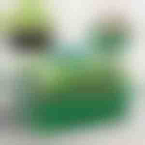 Stādiņu audzēšanas paplāte ar nodalījumiem | PLANTURKA