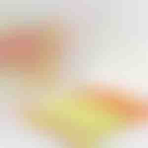 Aizkaru tīrītājs, kas samazina laiku uz pusi | BLINDY