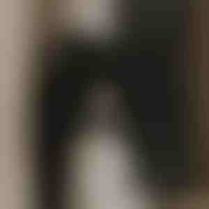 Spēcīgs izplūdes ventilators tīram gaisam | VENTORIS