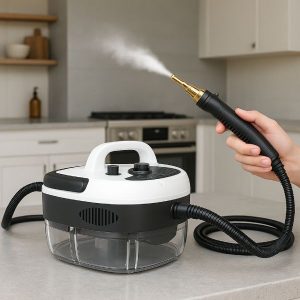 Augstspiediena tvaika tīrītājs | STEAMAX