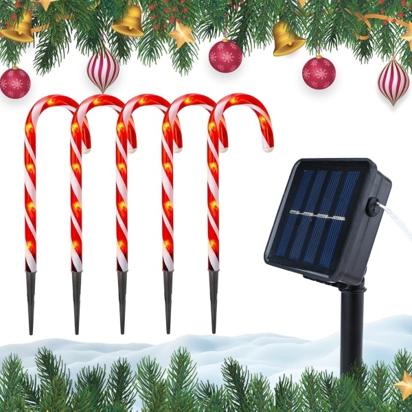 JOLLYCANE-3831127610812-N-6__211125